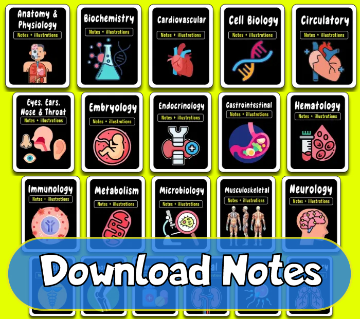 download medical notes